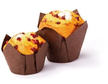 TULIPA SABOR YOGUR ARANDANOS